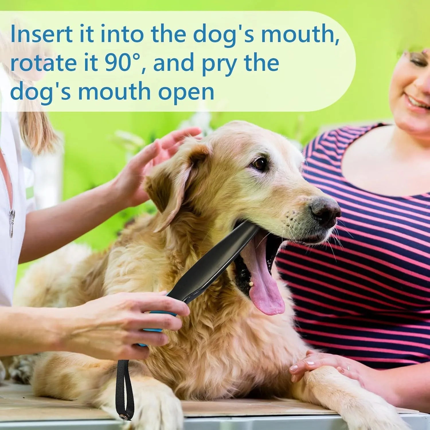 35cm dog training stick with coloured handle for bite training and jaw release