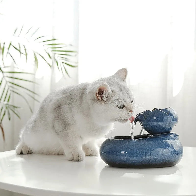 Resin cat water feeder in black with dimensions 19x10.5x20 cm for indoor cats