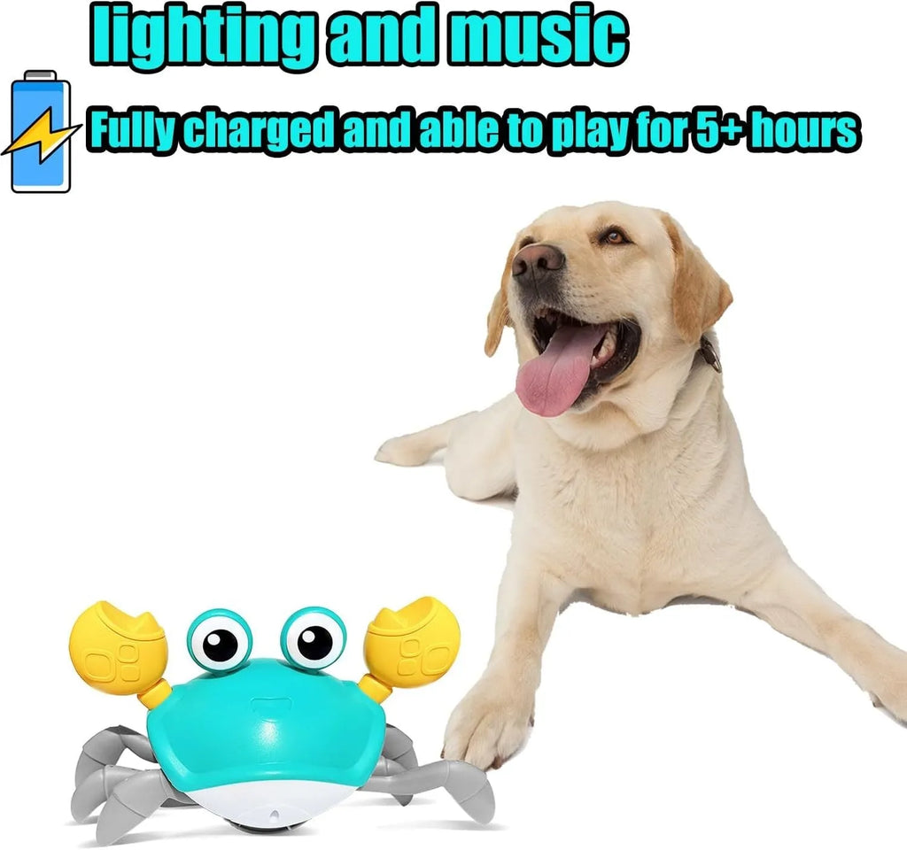 Blue crawling crab dog toy with obstacle avoidance sensor and interactive lights