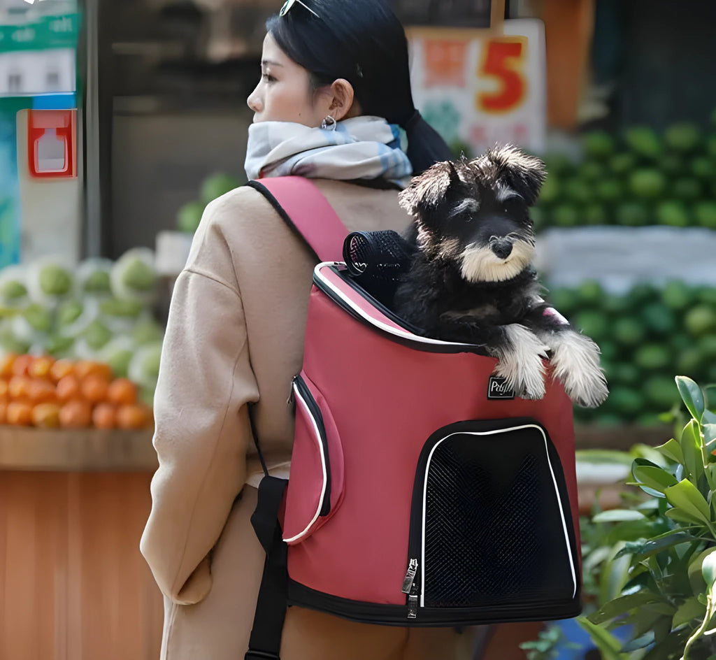 Blue pet dog backpack made of Oxford cloth and hexagonal mesh for carrying cats and dogs up to 15 jin