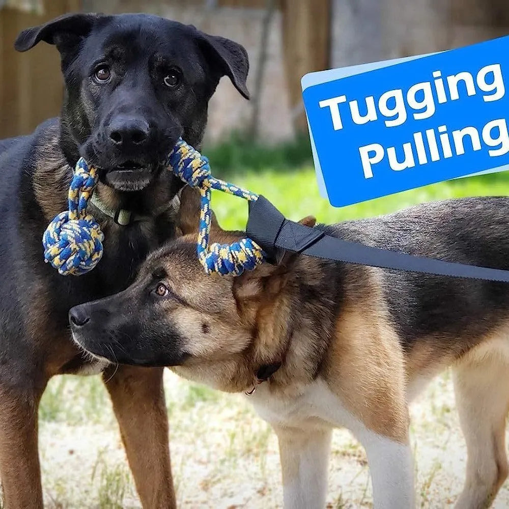 Green cotton thread dog tug rope toy with corncob design for tug-of-war games.