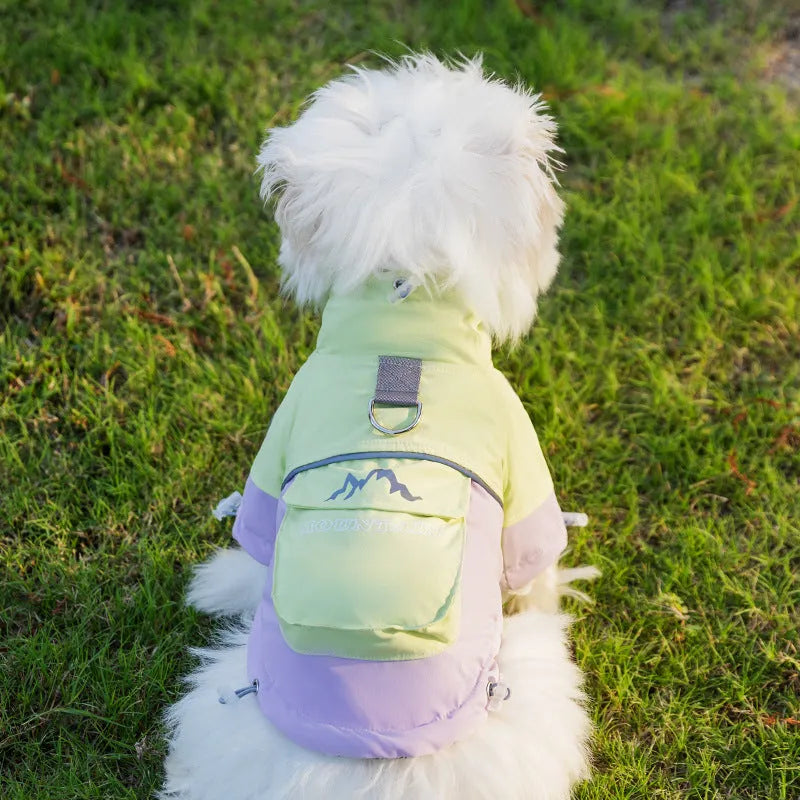 Dog windbreaker in sunny yellow-blue colour block, windproof two-legged cotton coat with tall collar and D-ring on a small dog