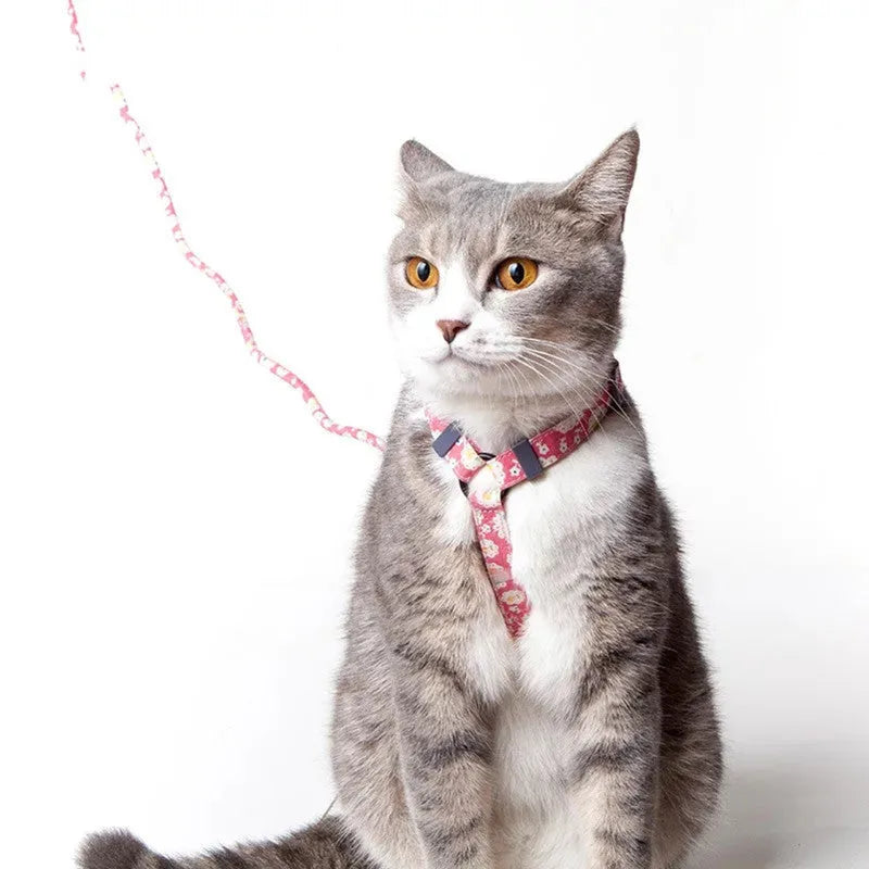 Nylon slipping cat rope harness and lead set in denim blue with adjustable neck and chest straps for small cats