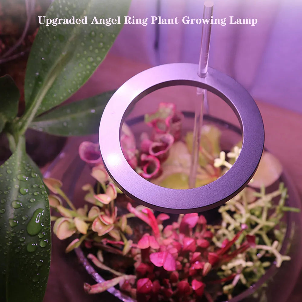USB-powered LED grow light with zinc alloy casing for indoor plants measuring 90mm diameter