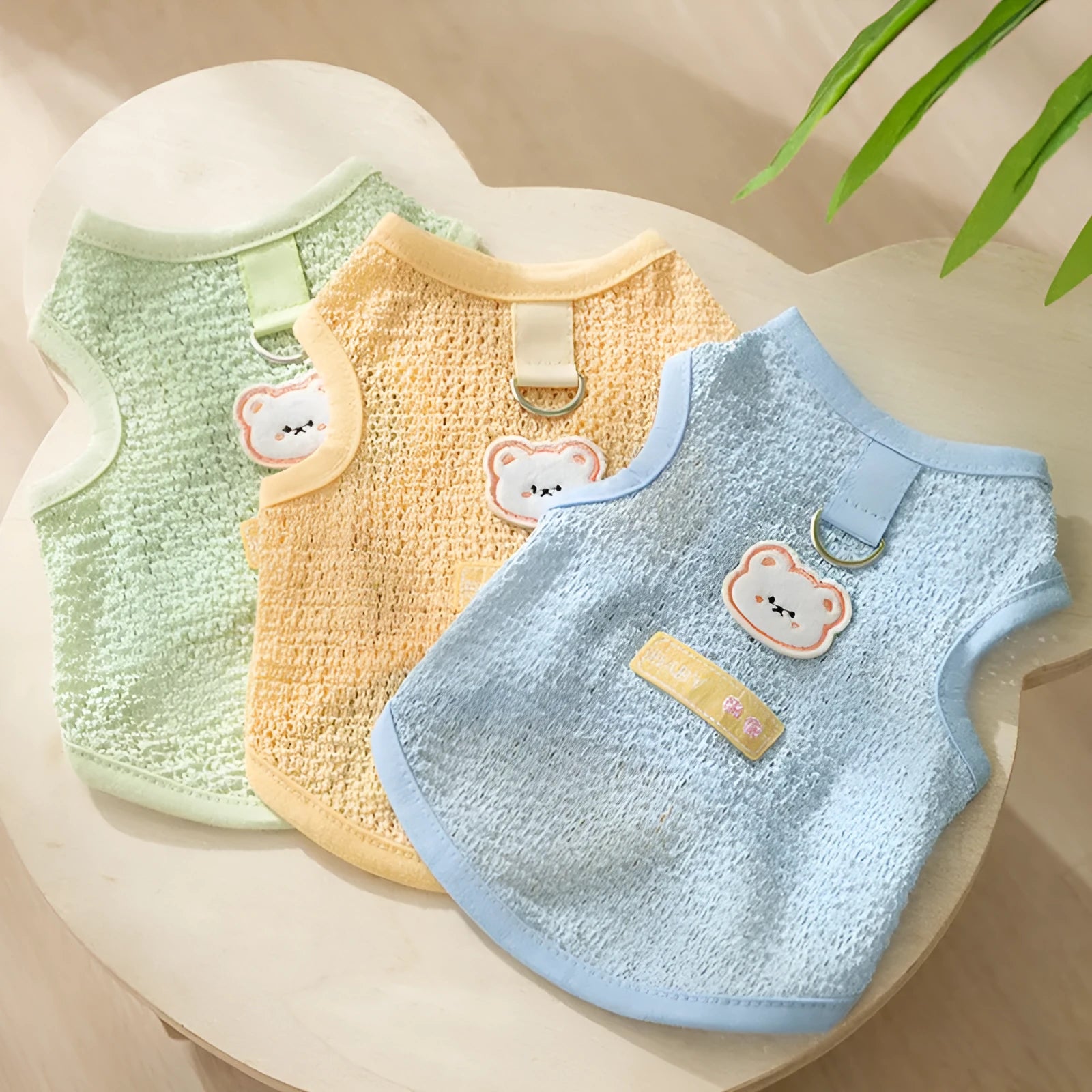 Cat wearing green bear patch cartoon clothing with hollowed-out breathable design