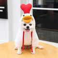 Fruit dog clothes two-legged hooded fleece outfit in green for autumn and winter