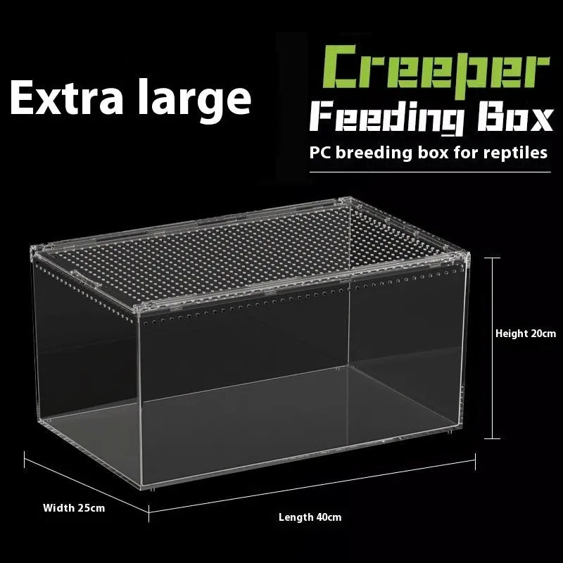 Clear acrylic reptile feeding box showing dimensions for small, medium, large, extra large, and arboreal sizes.