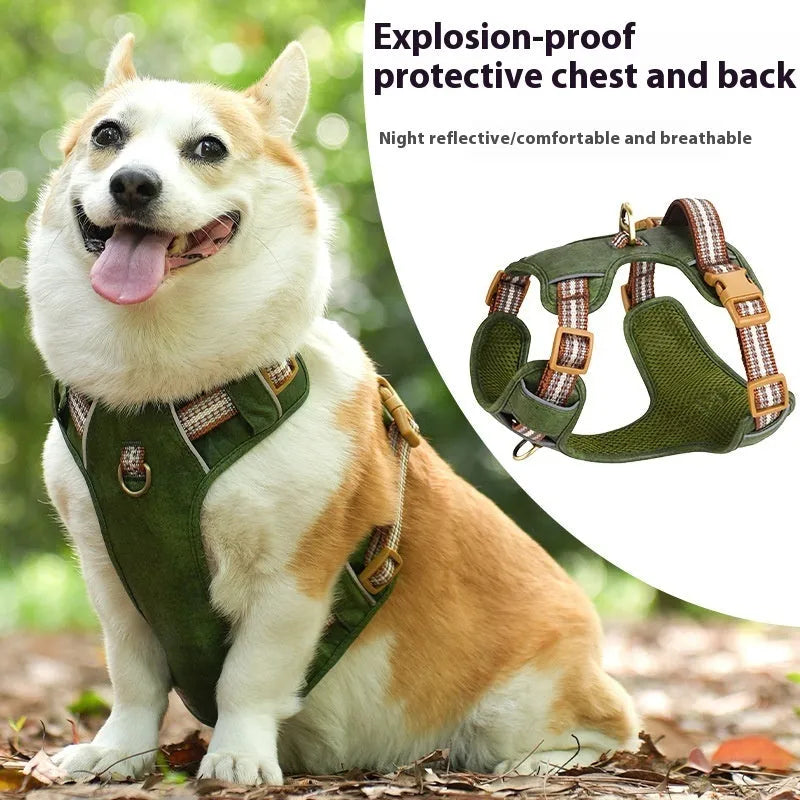 Brown leather dog harness with reflective strips and metal D-ring for lead attachment