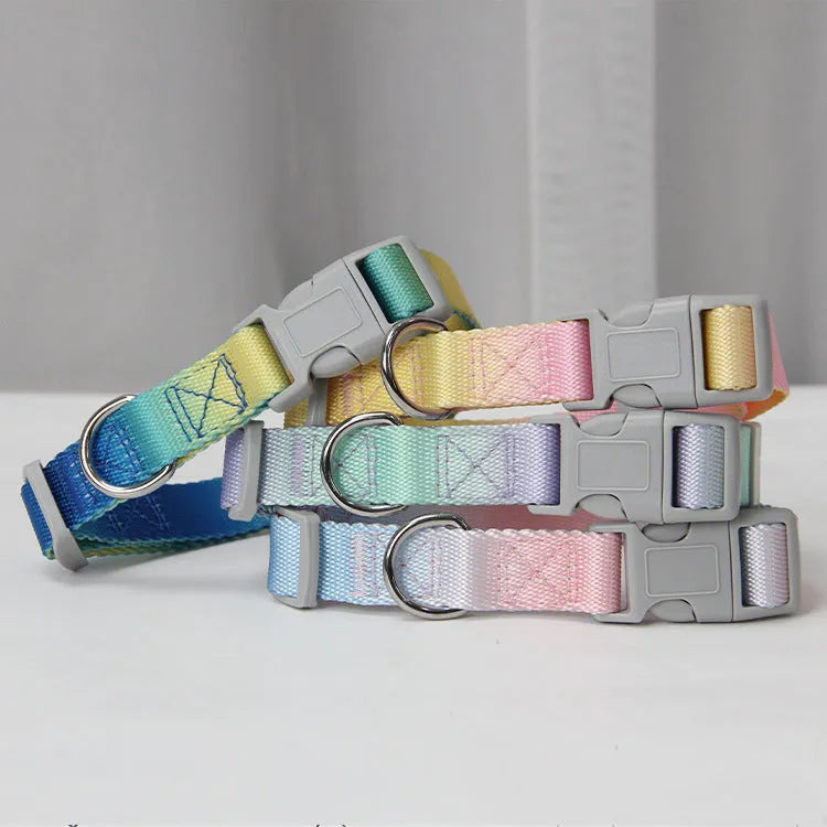 Nylon dog leash set showing gradient colour options including pink blue, yellow blue, pink yellow, and purple green combinations