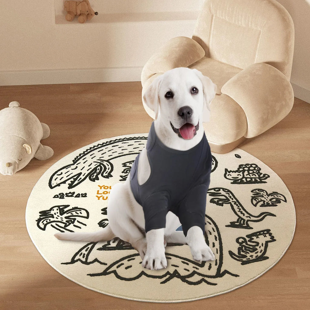 Pet front leg sleeve wrap in black on a dog's front leg, supporting healing and preventing licking