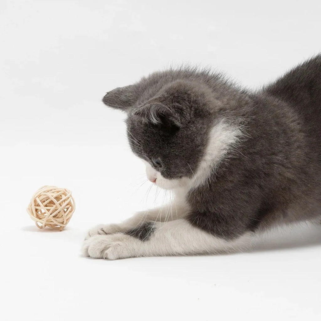 Two cat toys: a rattan ball and a faux feather ball with bell for interactive feline play