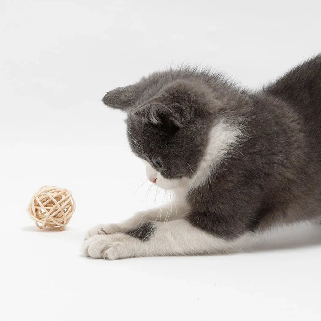 Two cat toys: a rattan ball and a faux feather ball with bell for interactive feline play