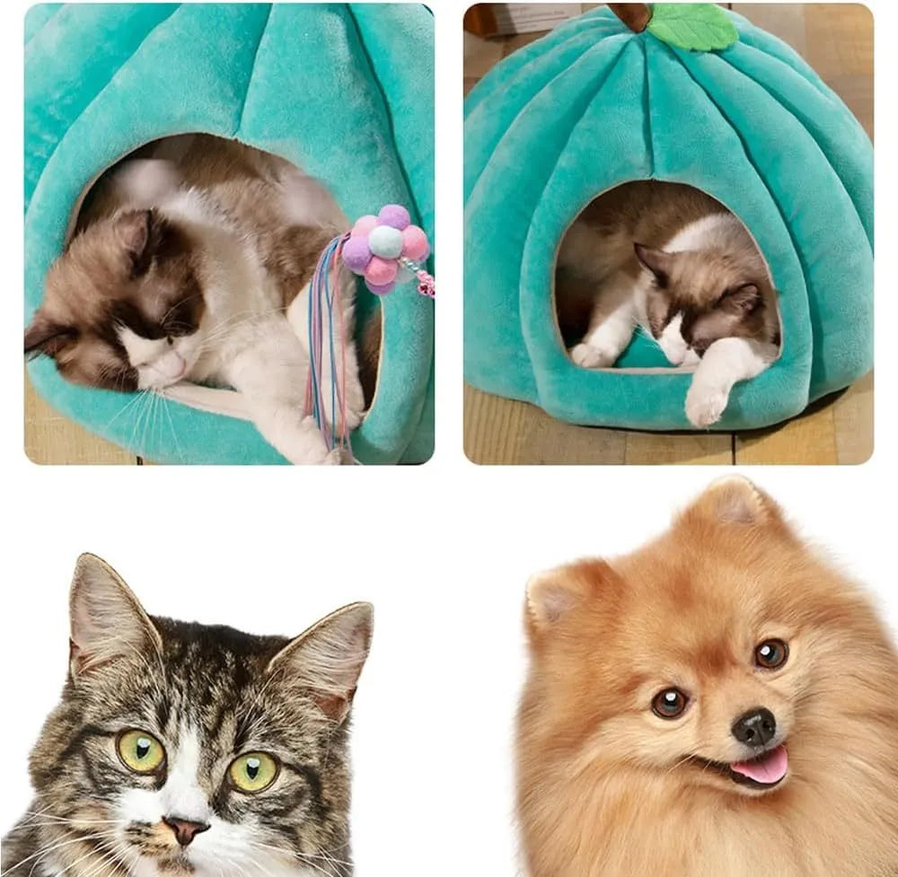 Pumpkin-shaped cat bed in blue with semi-enclosed design and removable cushion