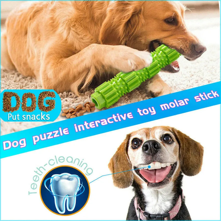 Green and orange durable rubber dog chew toy with treat dispenser hole for aggressive chewers.