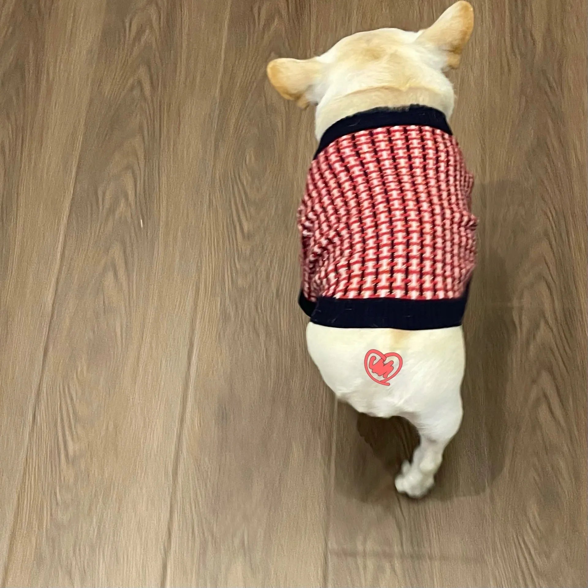 Red wool dog sweater with cute print for winter, available in sizes S to XXL