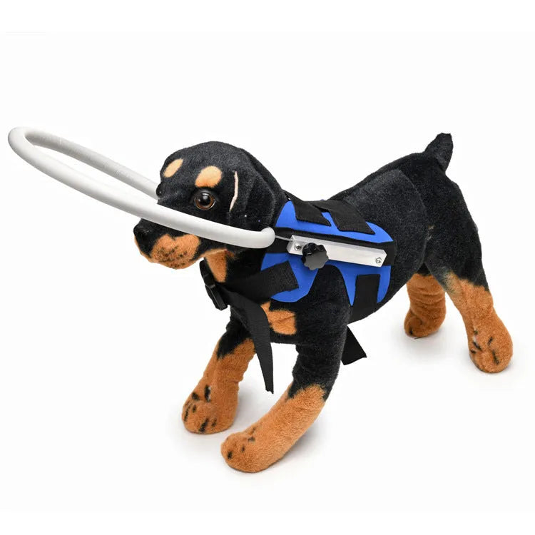 Blue anti-collision ring for blind dogs made of polyester, S size 22cm diameter, shown on a small dog