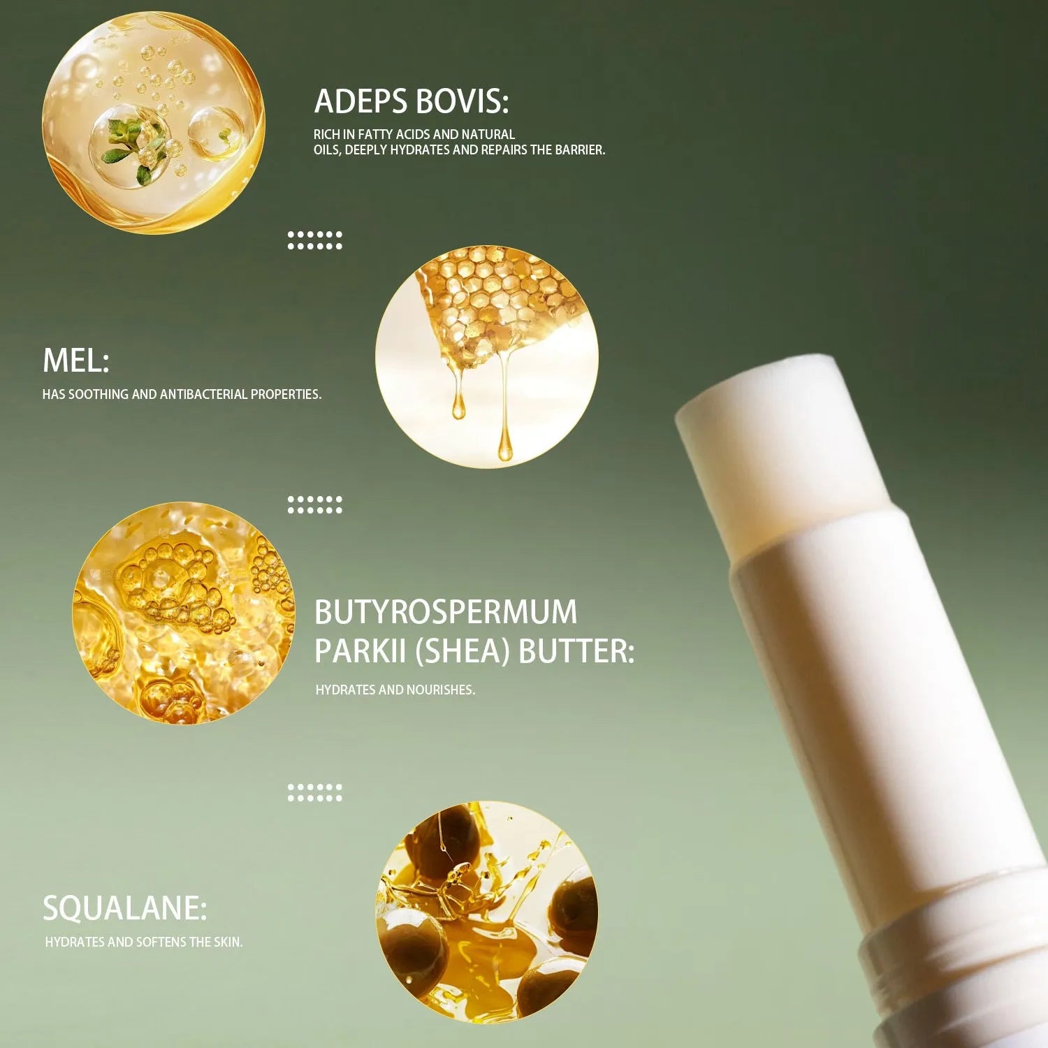 Tallow lip balm stick measuring 83mm by 19mm containing 5 grams of natural balm