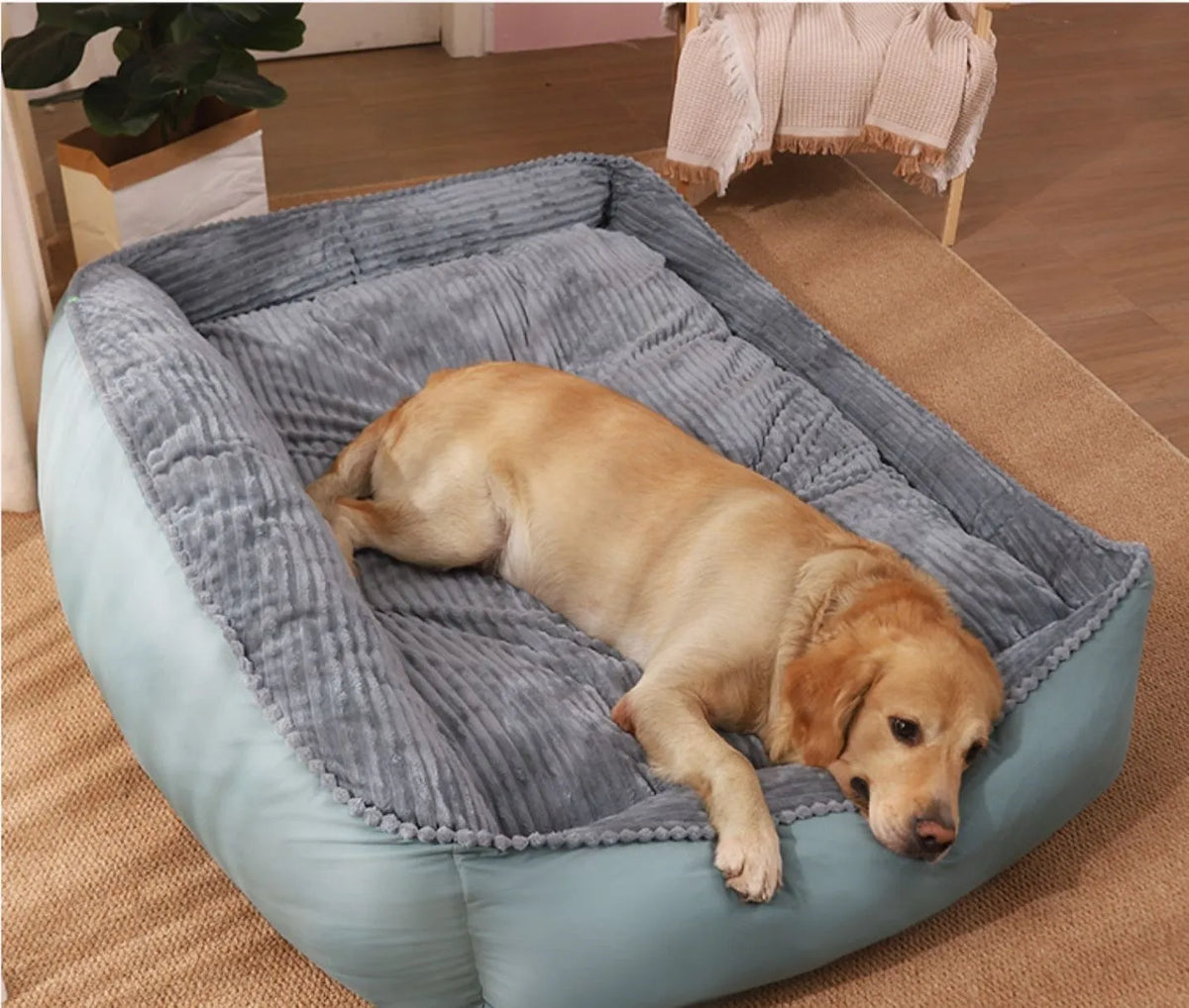 Light green winter dog bed with removable washable cover in velvet and PP cotton, available in four sizes