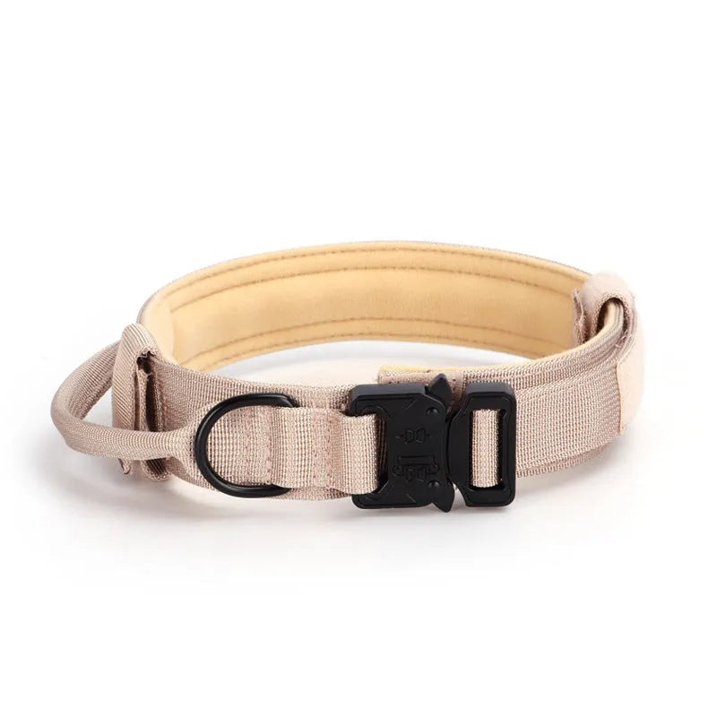 Adjustable military tactical dog collar in nylon webbing with metal buckle, 3.8cm wide, available in multiple colours and sizes