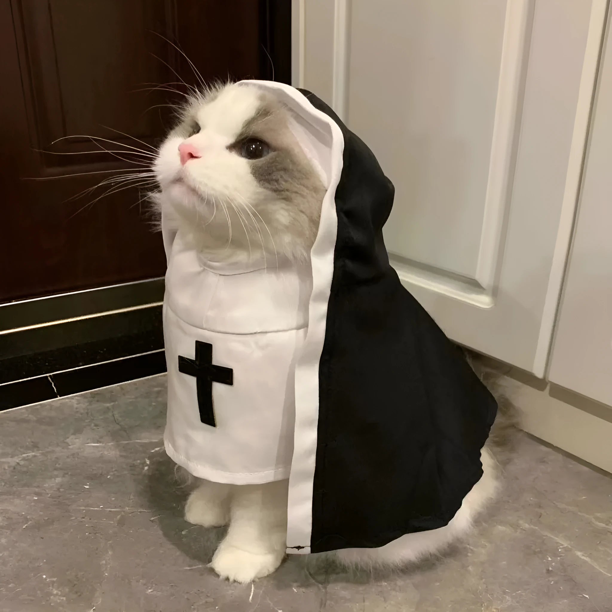 Black and white nun costume for small to medium dogs with pullover design