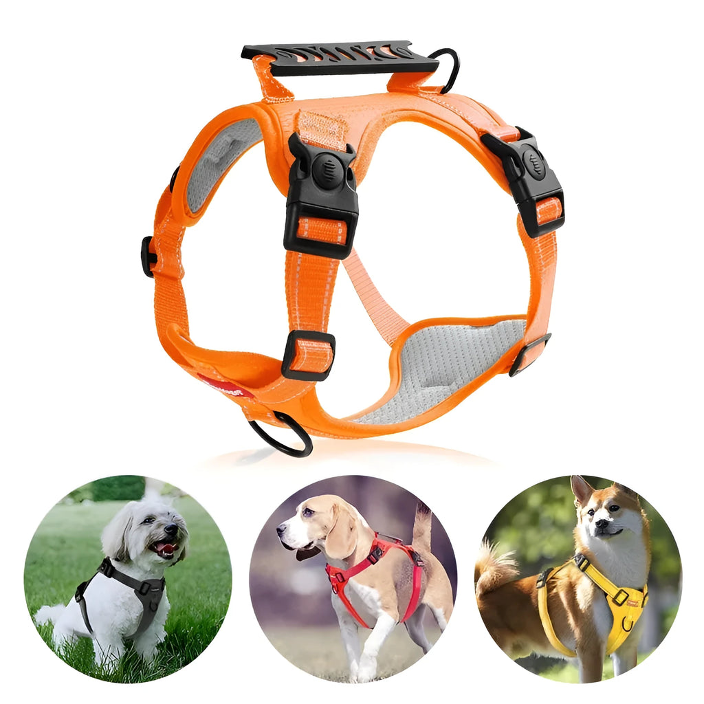 A polyester dog chest harness and matching leash set shown in a choice of colours.