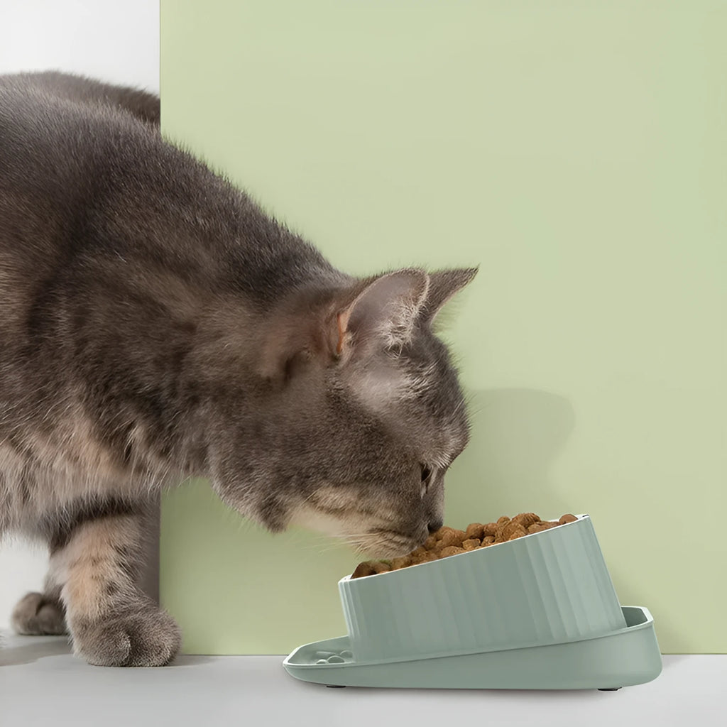 Wide mouth neck protection pet bowl in green yellow or white PP with optional stainless steel or ceramic inner