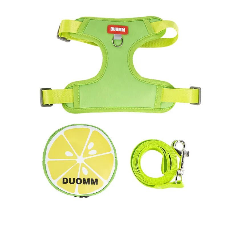 Pet backpack and chest strap set with anti-slip traction rope in green, orange or pink colours