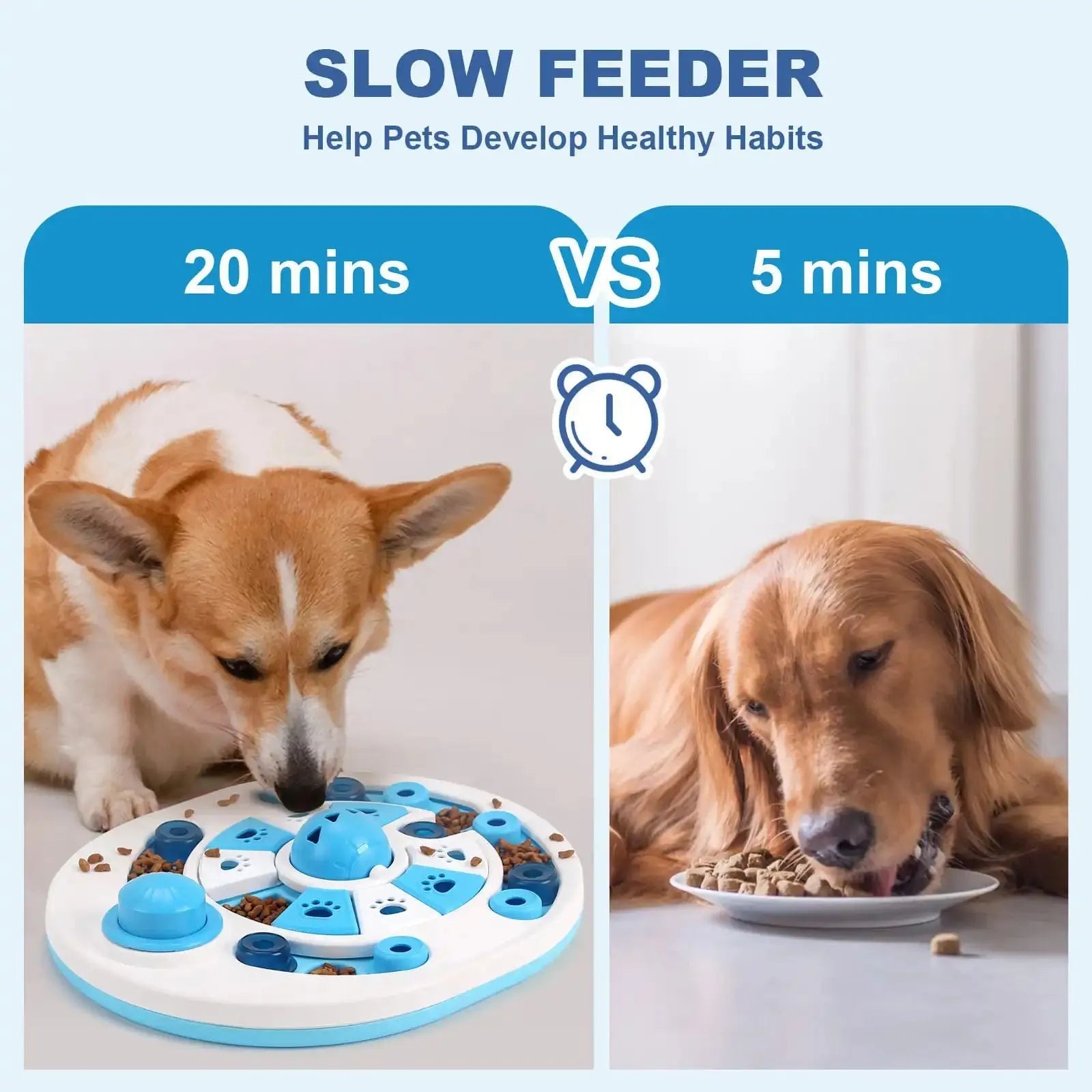 Blue dog puzzle toy with 24 compartments and spherical bells on a floor, showing clear top and non-slip base