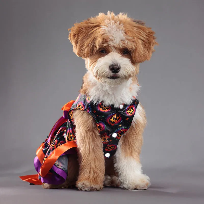 Halloween dog skirt costume in colourful pumpkin print, size medium, on a mannequin.