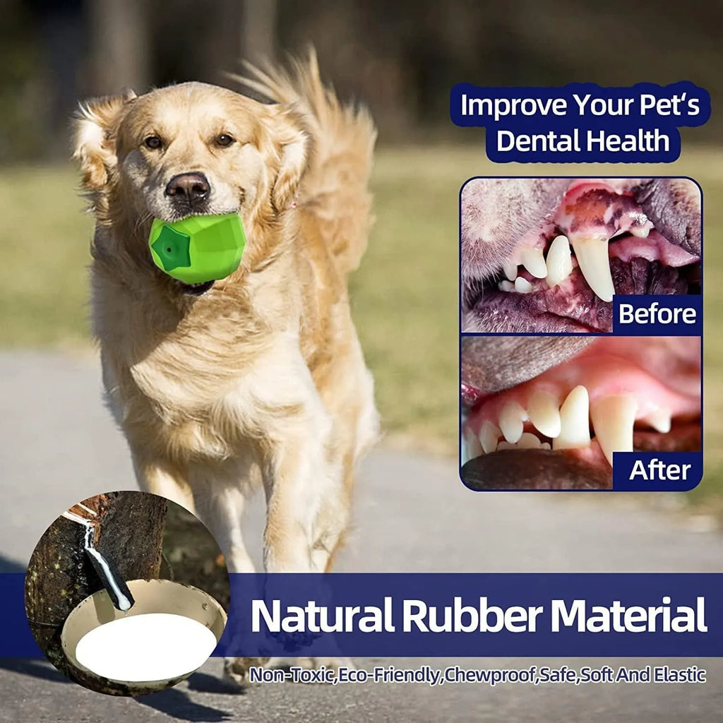 Green natural rubber dog squeaky chew toy with textured surface for aggressive chewers