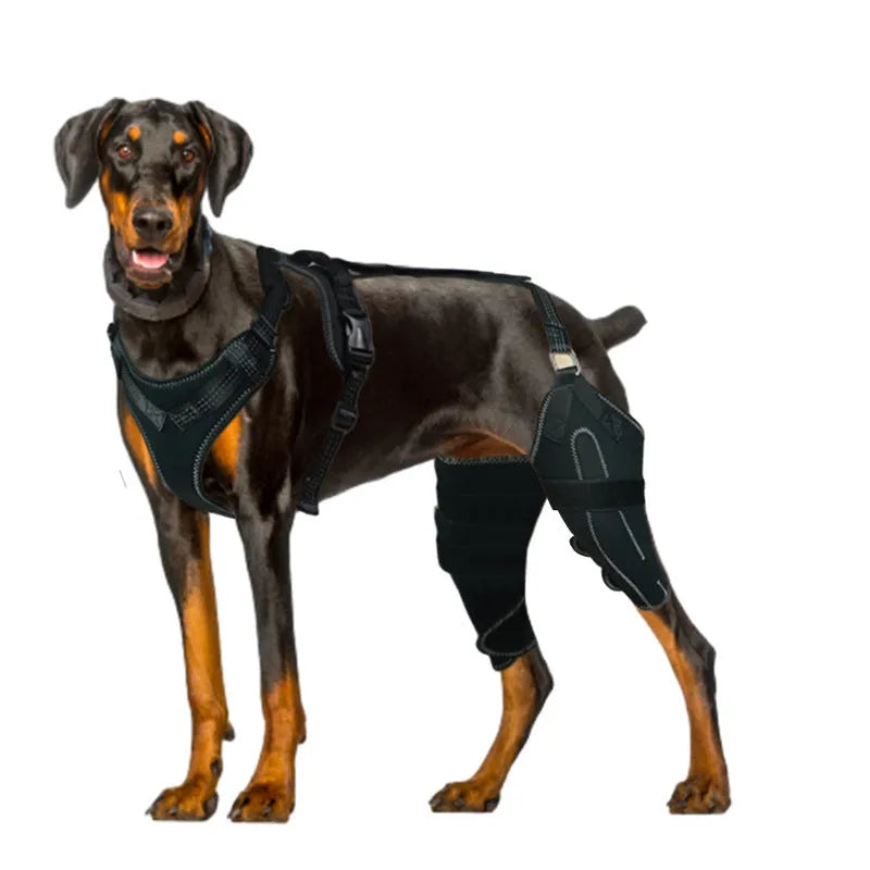 Black polyester dog thigh protective sleeve with adjustable metal support for postoperative care