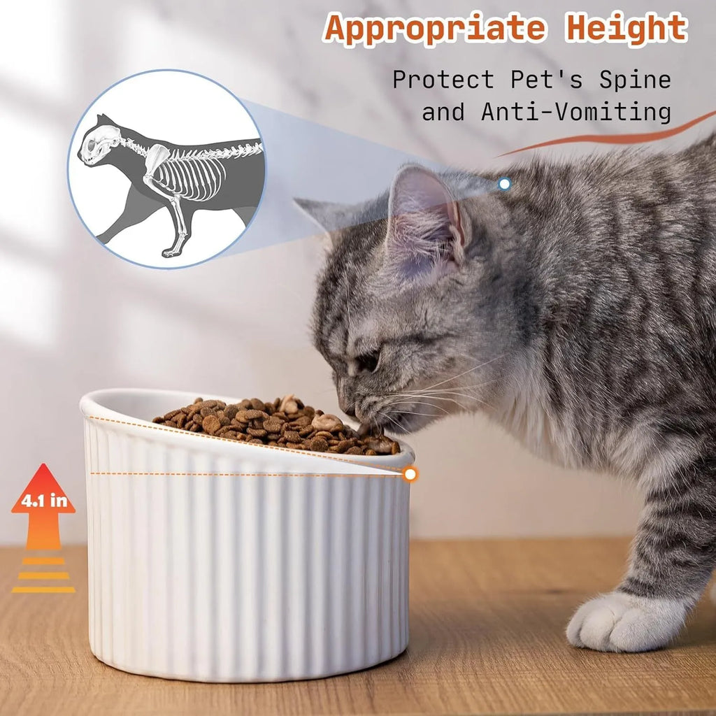 Dark green ceramic elevated cat bowl with tilted, round design on a wooden floor.