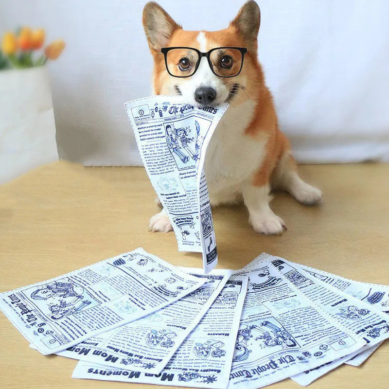 Tear-resistant dog toy with newspaper and playing card prints featuring a squeaker inside