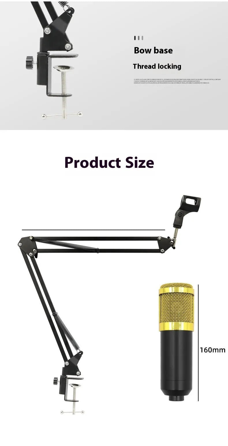 Black gold single wheat capacitor microphone set with cantilever bracket for mobile recording