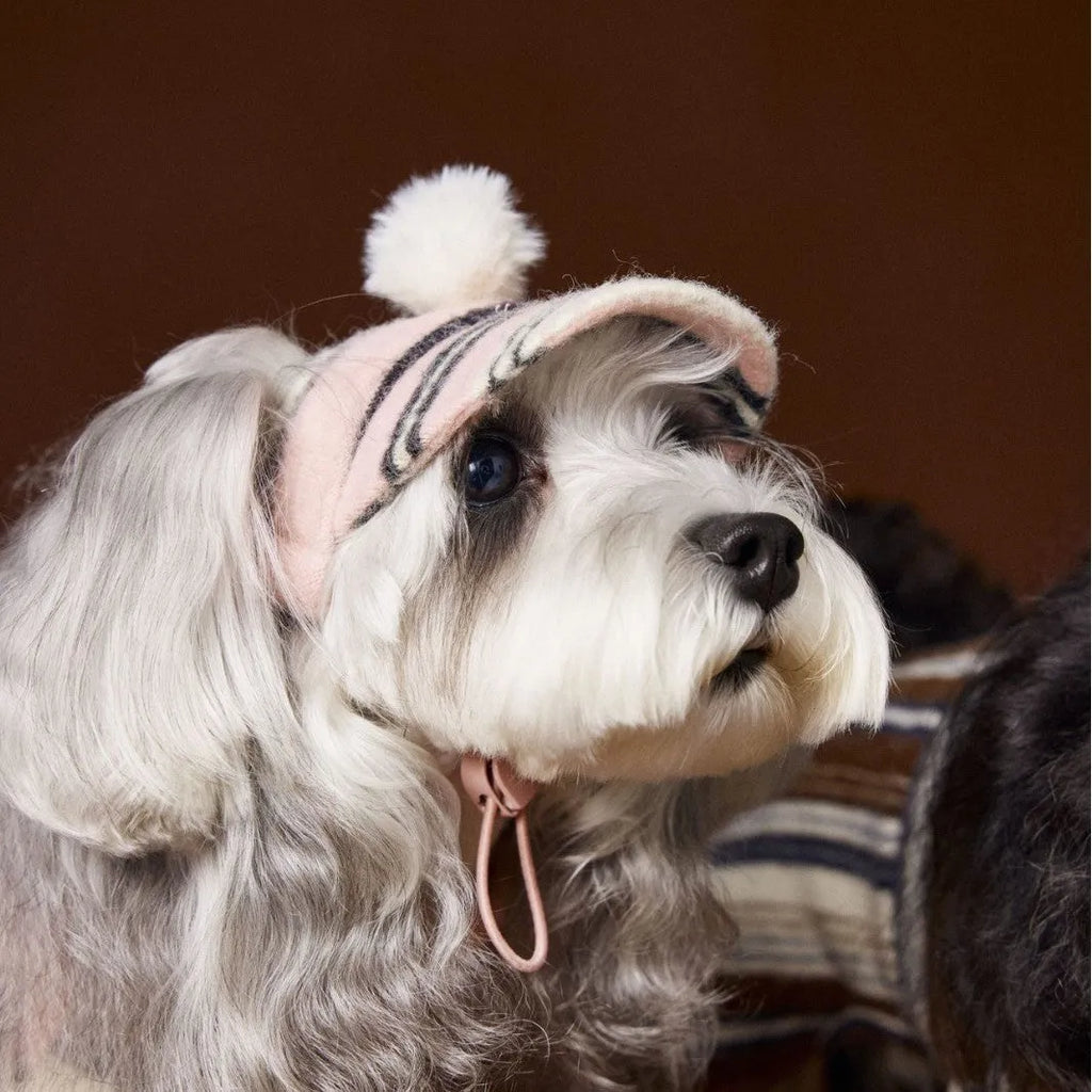 Striped acrylic dog hat with fur ball detail in pink or coffee, shown in small medium or large size