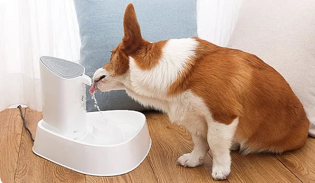 Ceramic white 1.8L pet water dispenser with quadruple filtration and silent pump for dogs and cats