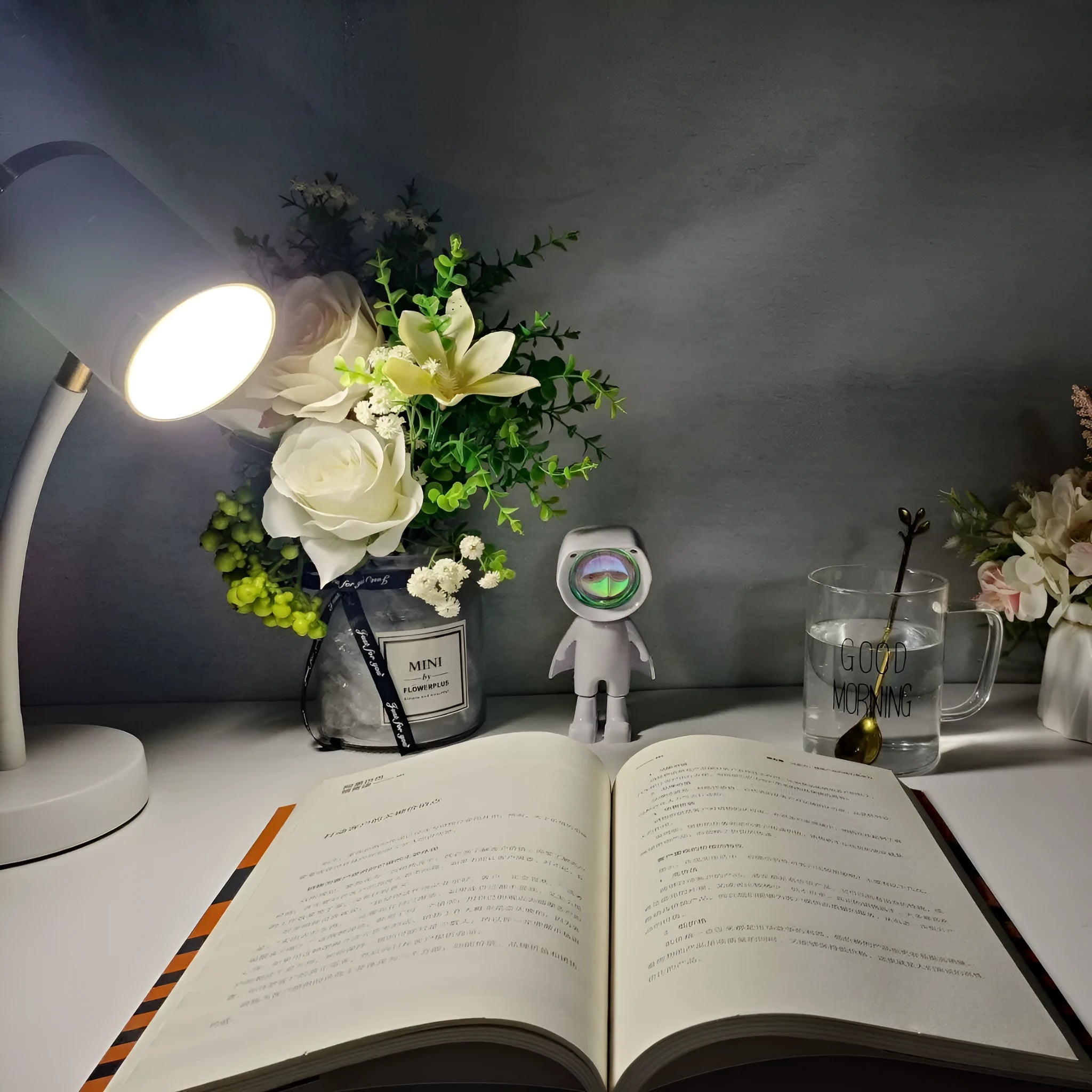 Black double-headed photography streaming lamp with metal construction and wire switch