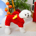 Red fluffy pet jacket with cartoon dragon design on a dog, showing velvet texture and fit.