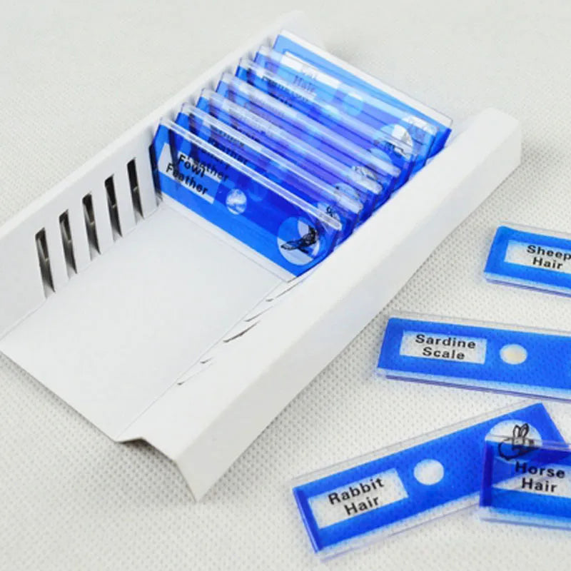 48-piece plastic microscope slide set for children with colour-coded plant, insect, and animal specimens