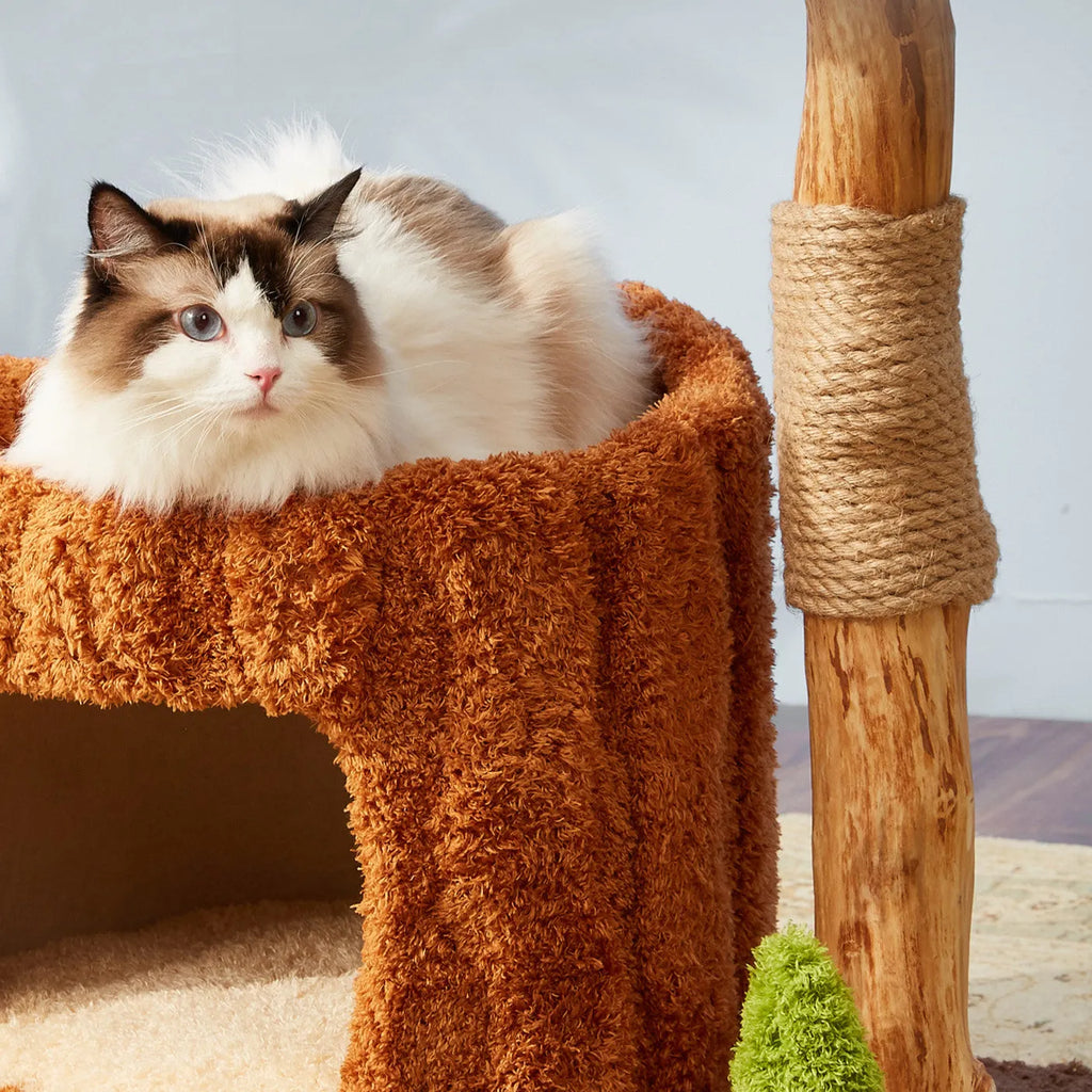Solid wood cat climbing frame with sisal scratching posts and integrated tree house in cute style for indoor cats