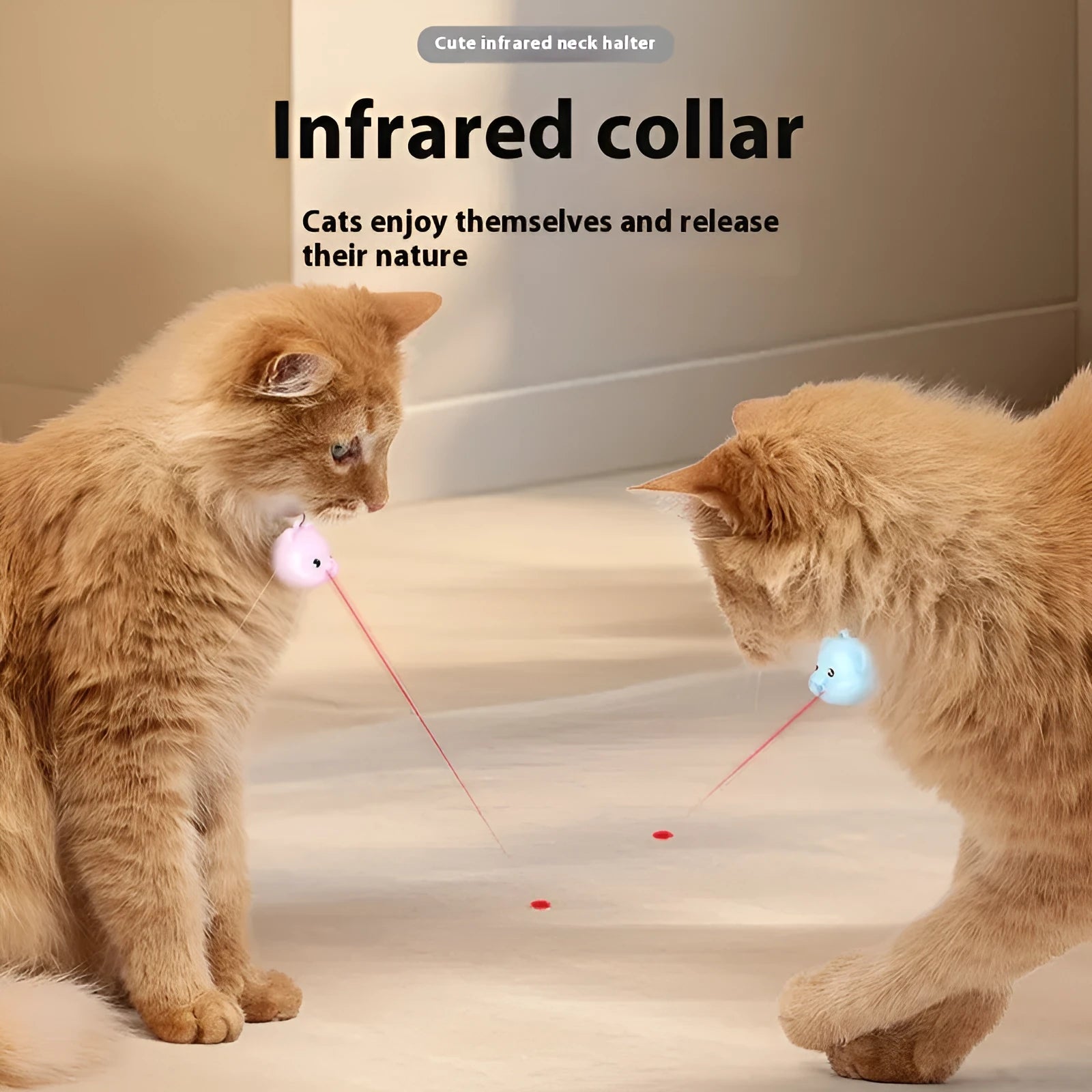 Rechargeable remote control cat infrared training collar with adjustable strap in blue and pink colour options