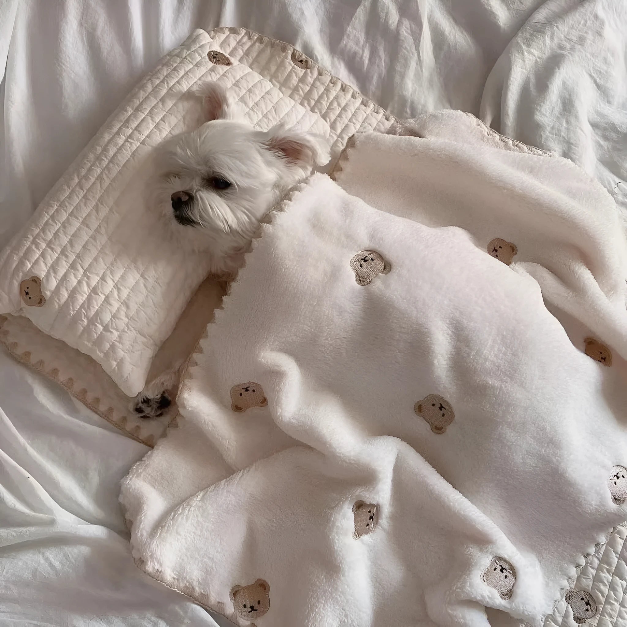 Simple bear design washable dog bed set with square mattress, quilt, and pillow in two size options.