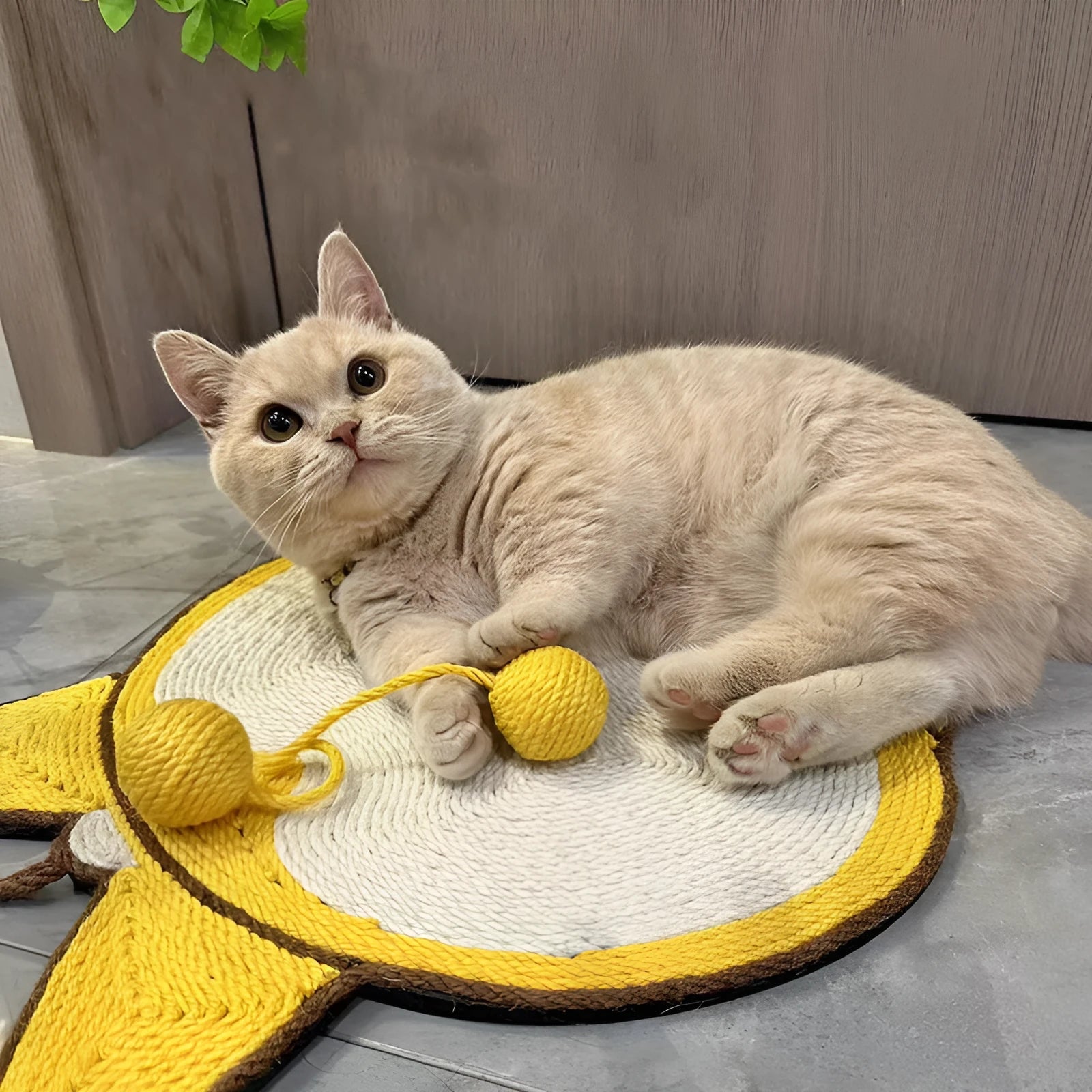 Yellow Corgi design cat scratching board with natural sisal surface on anti-slip base