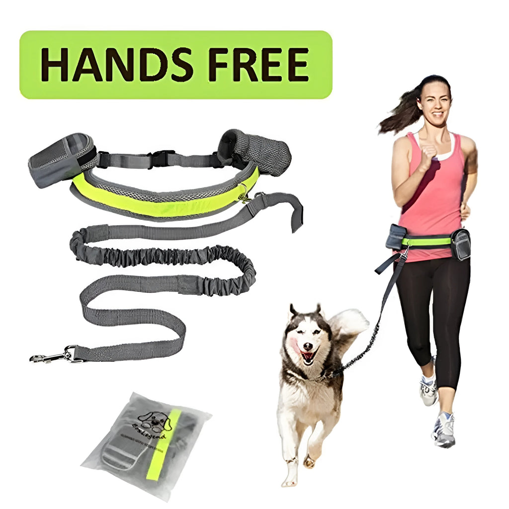 Adjustable hands-free dog leash running set with nylon retractable rope, waist belt, and two storage bags on a person jogging