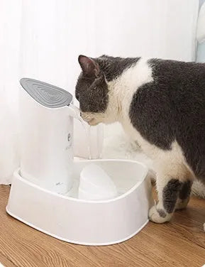 Ceramic white 1.8L pet water dispenser with quadruple filtration and silent pump for dogs and cats