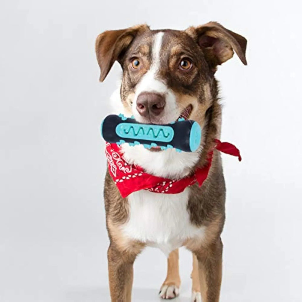 Natural rubber dog dental chew toy with cleaning nubs in blue, green, yellow, and black blue.