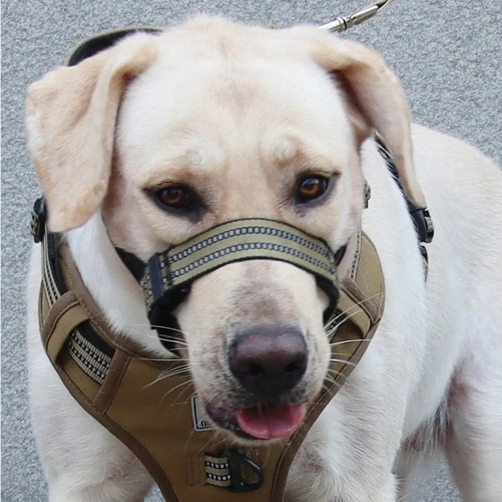 Adjustable black mesh dog muzzle with reflective strips and padded nose guard on a dog
