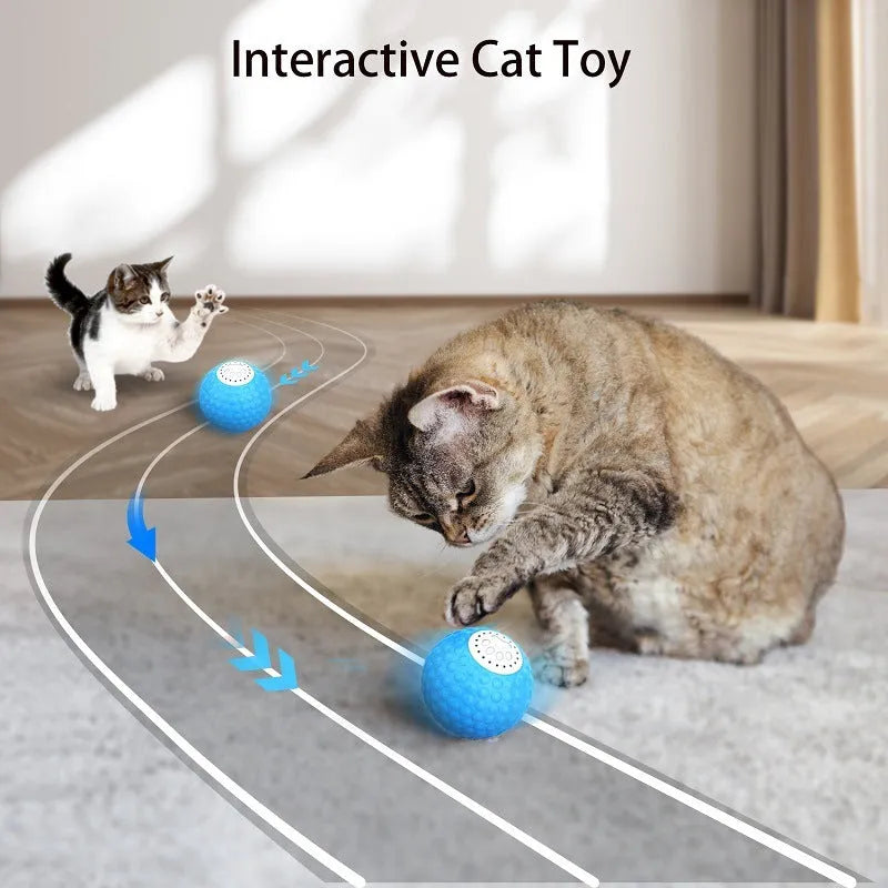 Blue electronic cat ball toy with remote control on a wooden floor.