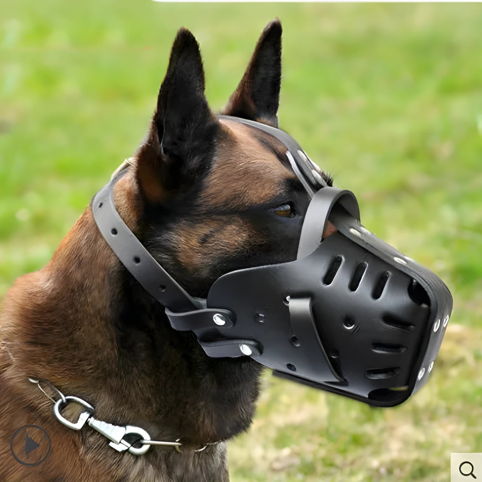 Black cowhide dog muzzle for medium and large dogs with basket design, sizes L and M