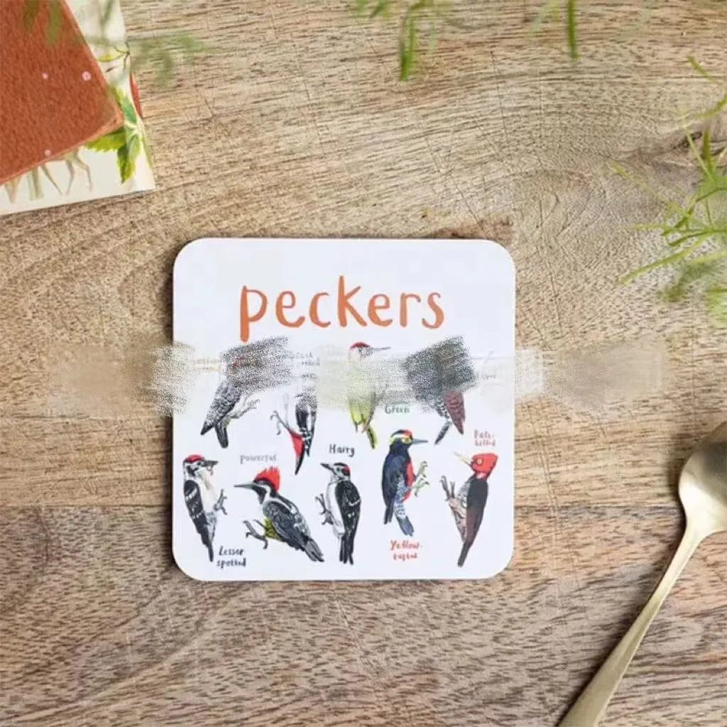 Bird pun coaster set, square PVC drink mats, 10x10x0.35 cm, 6 or 12 pieces